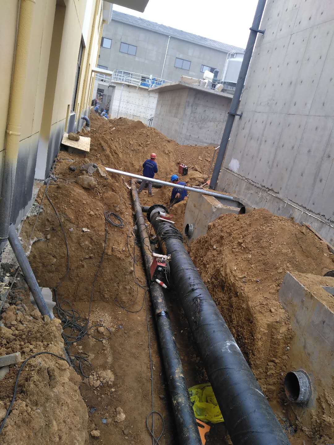 非凡国际 155b2